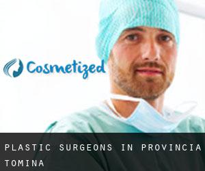 Plastic Surgeons in Provincia Tomina