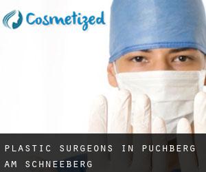 Plastic Surgeons in Puchberg am Schneeberg