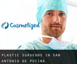 Plastic Surgeons in San Antonio De Putina