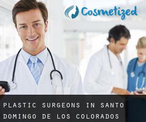 Plastic Surgeons in Santo Domingo de los Colorados