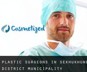 Plastic Surgeons in Sekhukhune District Municipality