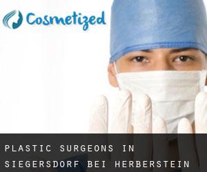 Plastic Surgeons in Siegersdorf bei Herberstein