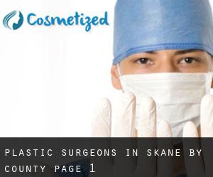 Plastic Surgeons in Skåne by County - page 1