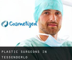 Plastic Surgeons in Tessenderlo
