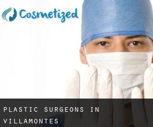 Plastic Surgeons in Villamontes