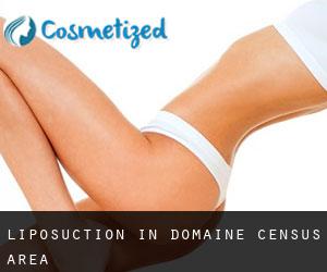 Liposuction in Domaine (census area)