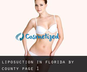 Liposuction in Florida by County - page 1