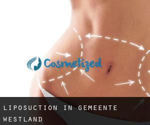 Liposuction in Gemeente Westland