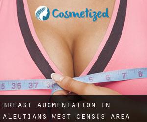 Breast Augmentation in Aleutians West Census Area