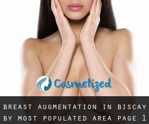 Breast Augmentation in Biscay by most populated area - page 1