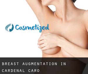 Breast Augmentation in Cardenal Caro