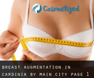 Breast Augmentation in Cardinia by main city - page 1
