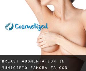 Breast Augmentation in Municipio Zamora (Falcón)