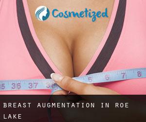 Breast Augmentation in Roe Lake