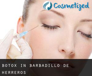 Botox in Barbadillo de Herreros