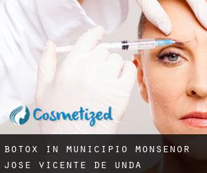 Botox in Municipio Monseñor José Vicente de Unda