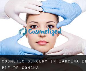 Cosmetic Surgery in Bárcena de Pie de Concha
