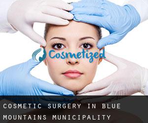 Cosmetic Surgery in Blue Mountains Municipality