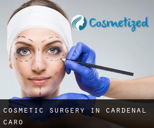 Cosmetic Surgery in Cardenal Caro