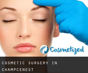 Cosmetic Surgery in Champcenest