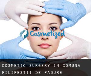 Cosmetic Surgery in Comuna Filipeştii de Pădure