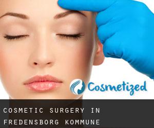 Cosmetic Surgery in Fredensborg Kommune