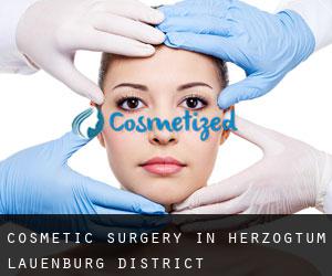 Cosmetic Surgery in Herzogtum Lauenburg District