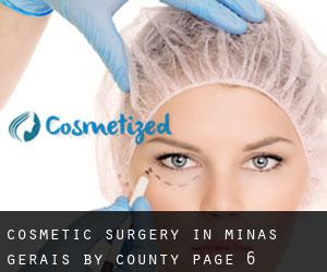 Cosmetic Surgery in Minas Gerais by County - page 6