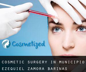 Cosmetic Surgery in Municipio Ezequiel Zamora (Barinas)
