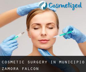 Cosmetic Surgery in Municipio Zamora (Falcón)