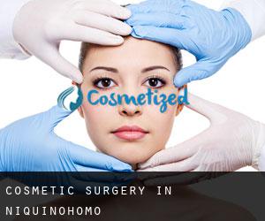 Cosmetic Surgery in Niquinohomo