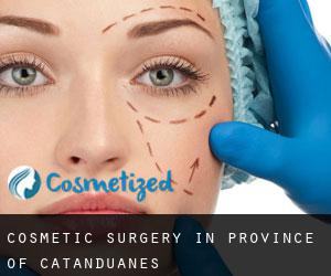 Cosmetic Surgery in Province of Catanduanes