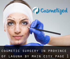 Cosmetic Surgery in Province of Laguna by main city - page 1