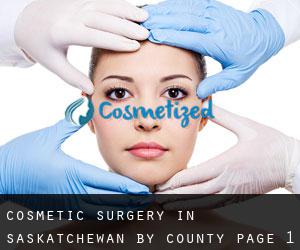 Cosmetic Surgery in Saskatchewan by County - page 1