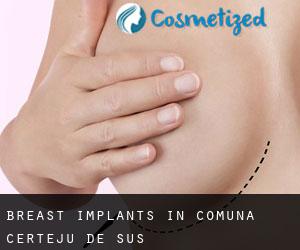 Breast Implants in Comuna Certeju de Sus