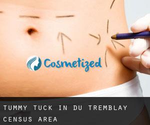 Tummy Tuck in Du Tremblay (census area)