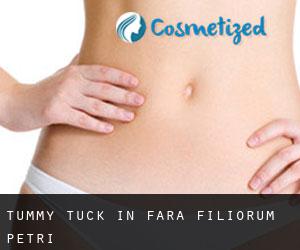 Tummy Tuck in Fara Filiorum Petri