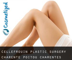 Cellefrouin plastic surgery (Charente, Poitou-Charentes)