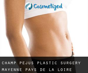 Champ Pejus plastic surgery (Mayenne, Pays de la Loire)