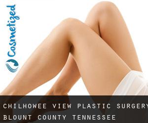 Chilhowee View plastic surgery (Blount County, Tennessee)