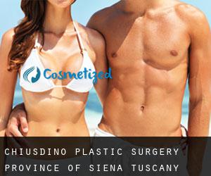 Chiusdino plastic surgery (Province of Siena, Tuscany)
