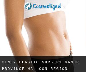Ciney plastic surgery (Namur Province, Walloon Region)