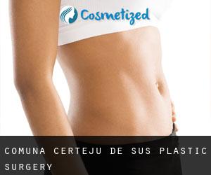 Comuna Certeju de Sus plastic surgery