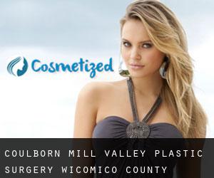 Coulborn Mill Valley plastic surgery (Wicomico County, Maryland)