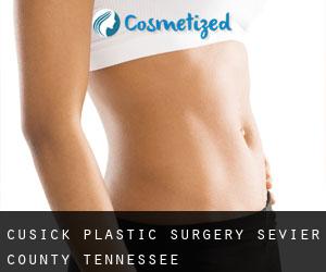 Cusick plastic surgery (Sevier County, Tennessee)