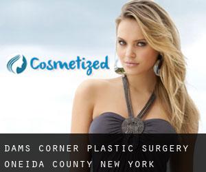 Dams Corner plastic surgery (Oneida County, New York)