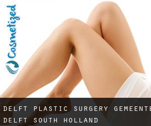 Delft plastic surgery (Gemeente Delft, South Holland)