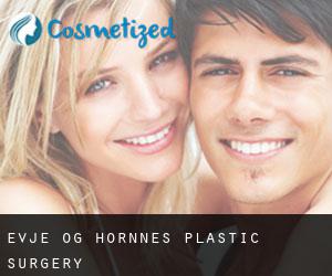 Evje og Hornnes plastic surgery