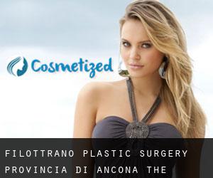 Filottrano plastic surgery (Provincia di Ancona, The Marches)
