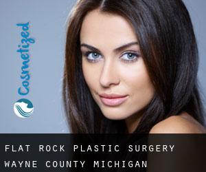 Flat Rock plastic surgery (Wayne County, Michigan)